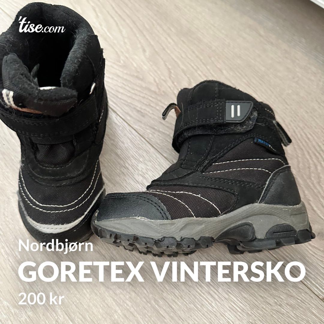 Goretex vintersko