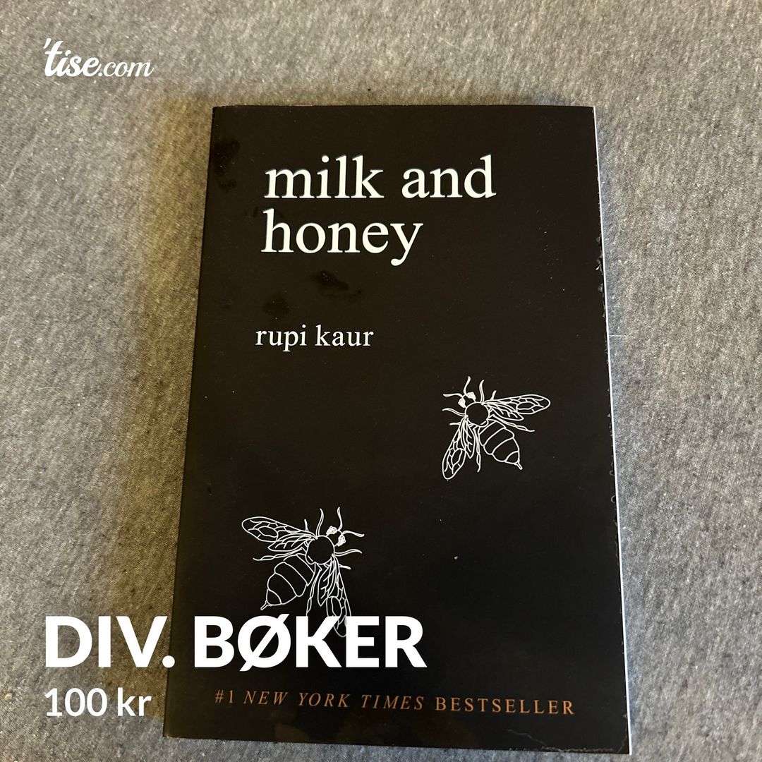 Div Bøker