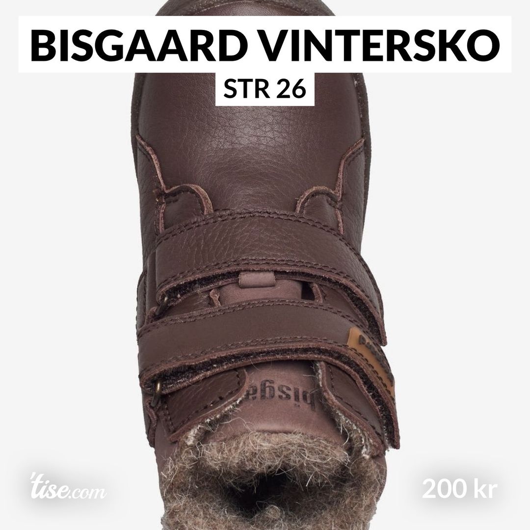 Bisgaard Vintersko