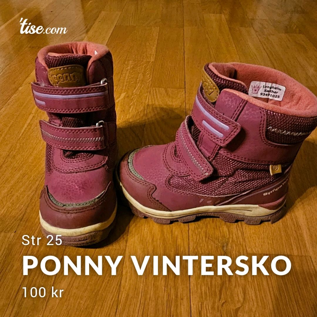 Ponny Vintersko