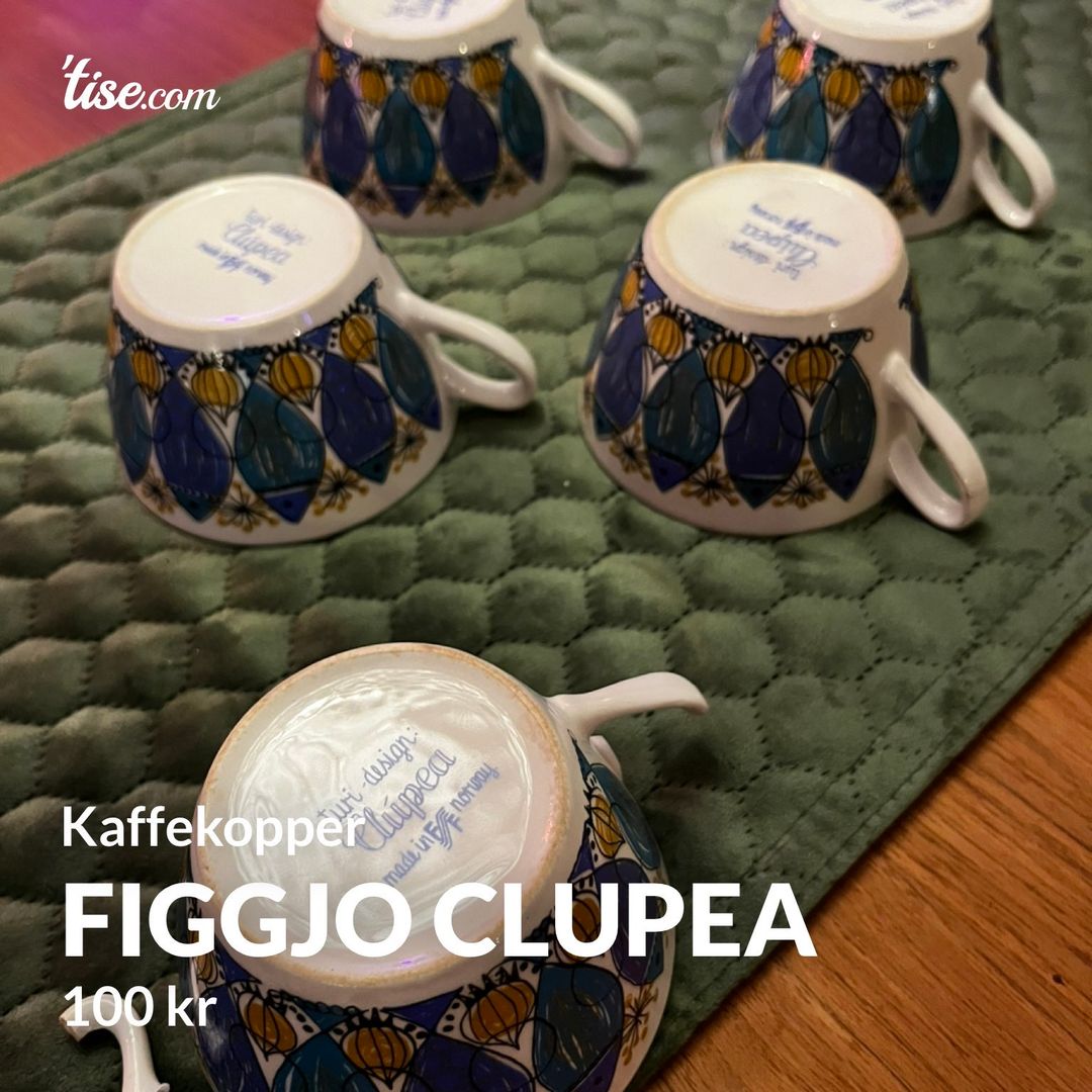 Figgjo clupea