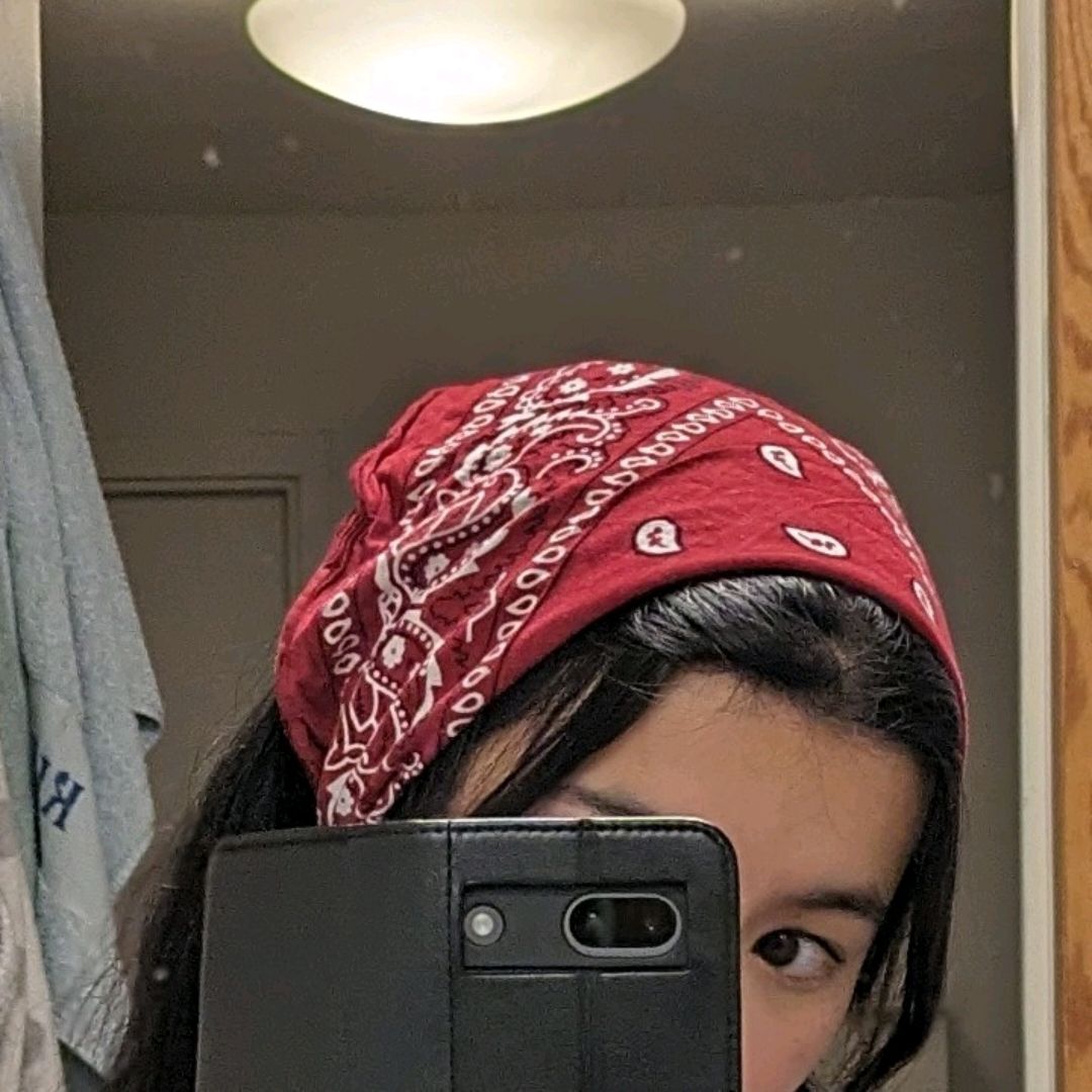 Rød Bandana