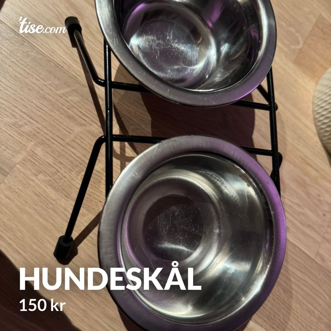 Hundeskål