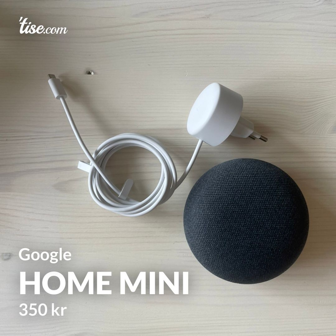 Home Mini