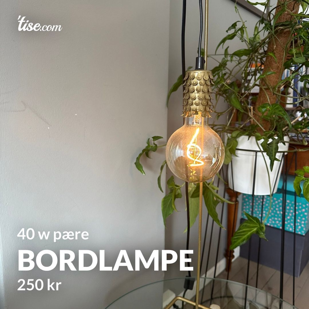 Bordlampe