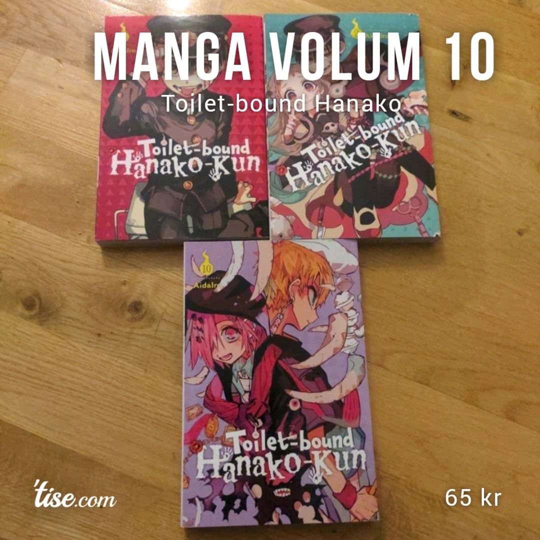 Manga Volum 10