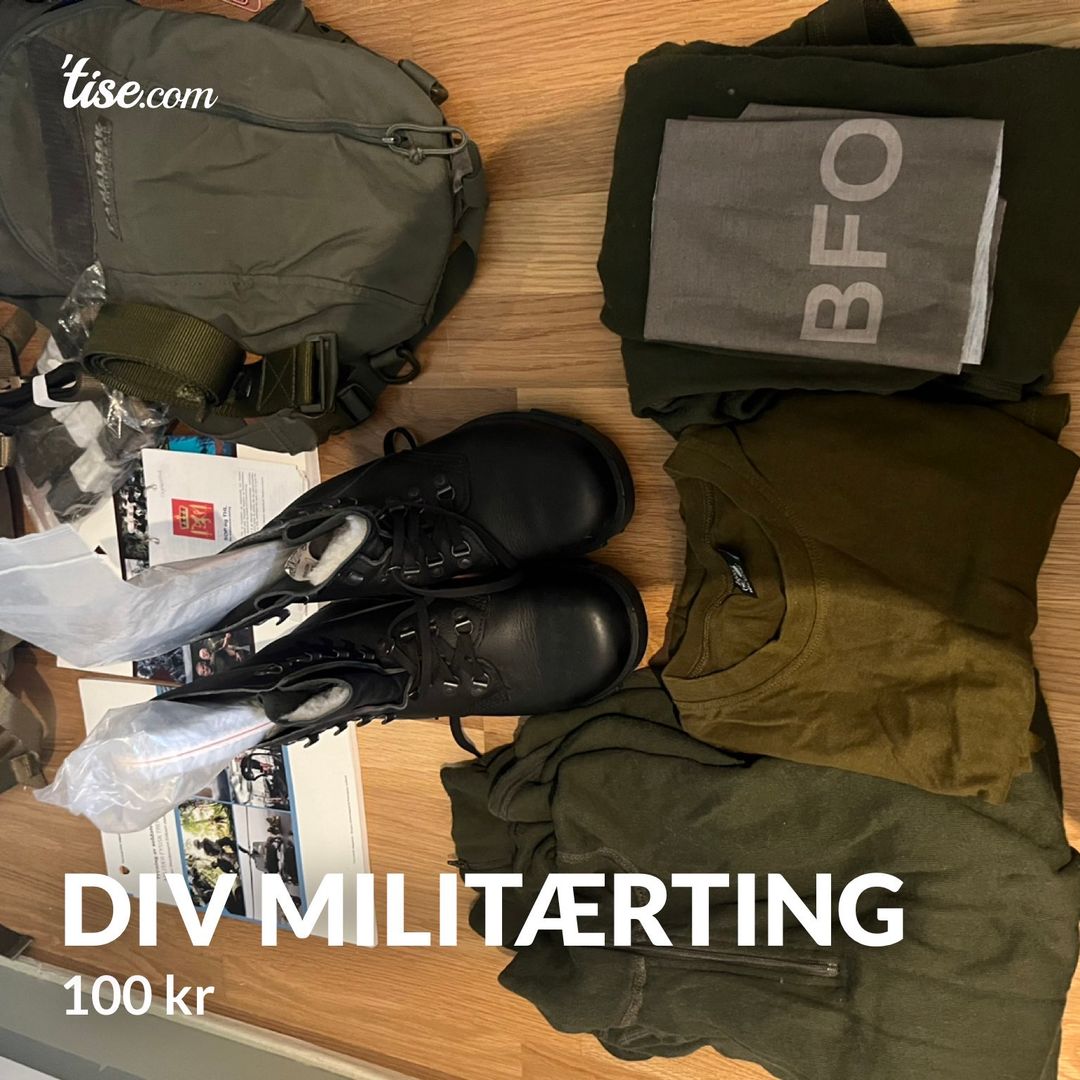 Div militærting