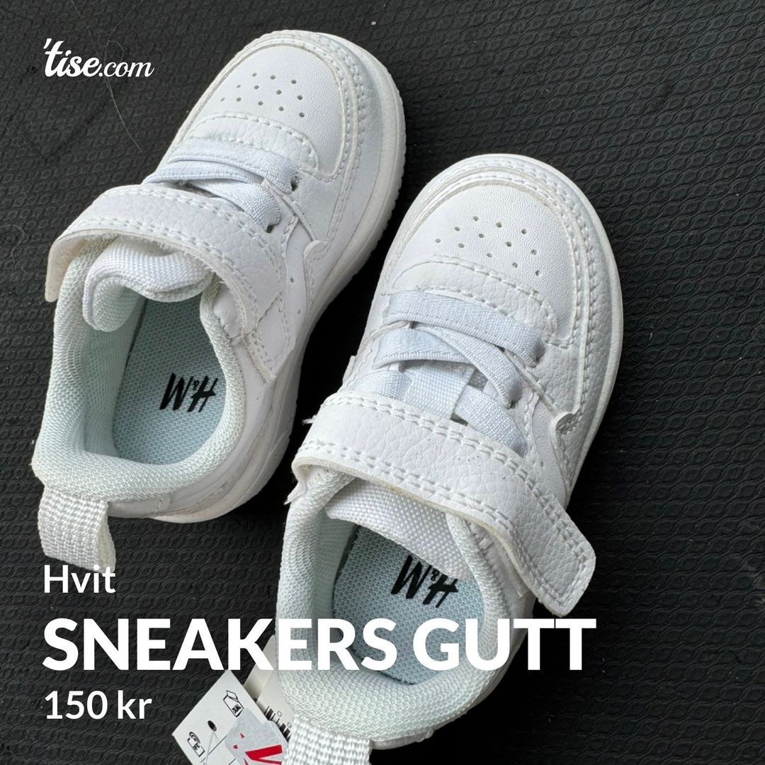 Sneakers gutt