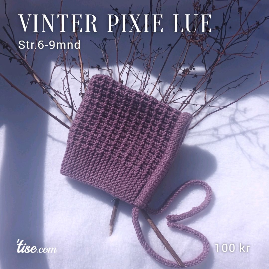 Vinter pixie Lue