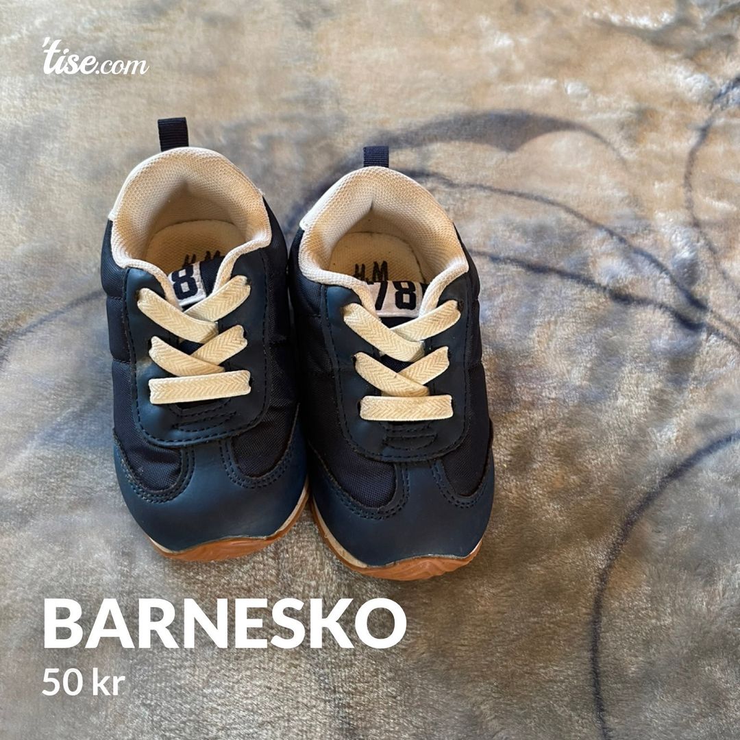 Barnesko