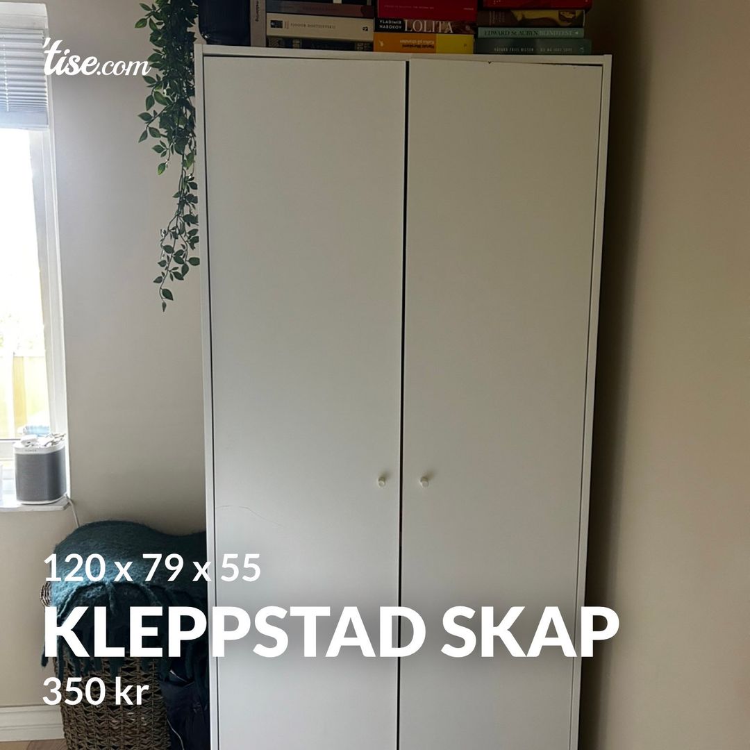 Kleppstad skap