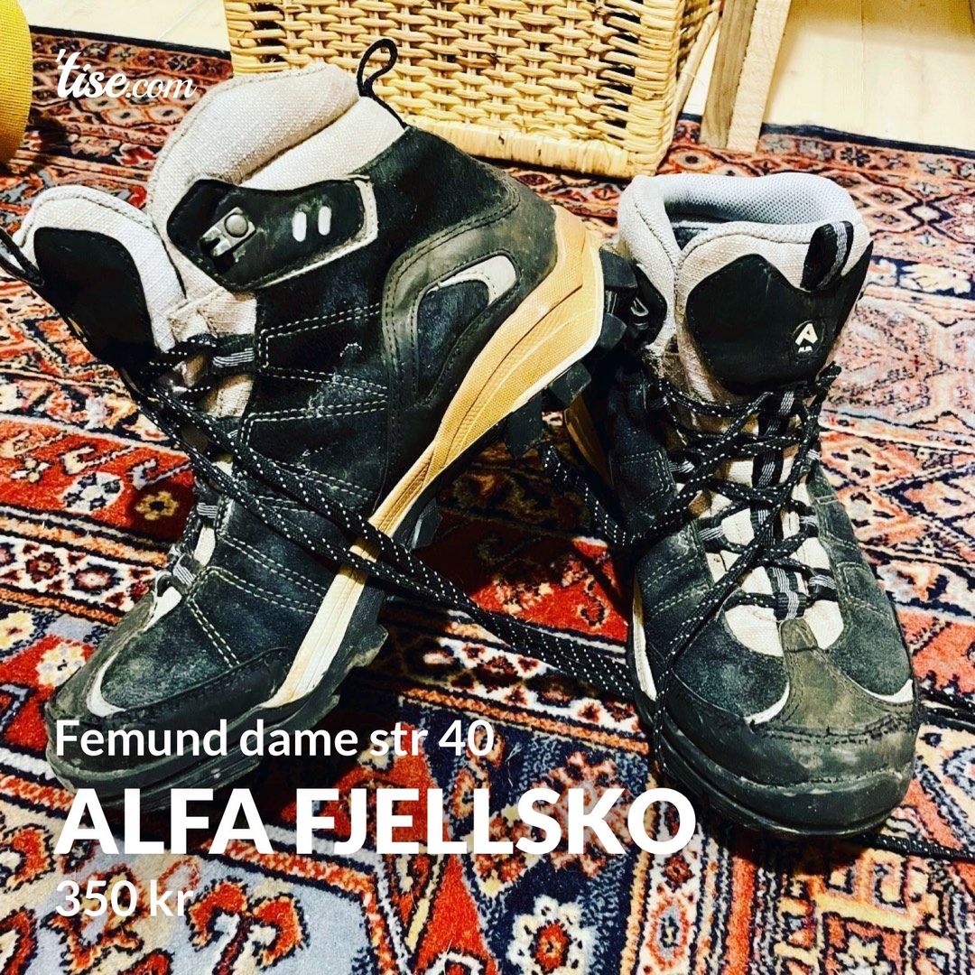 Alfa fjellsko