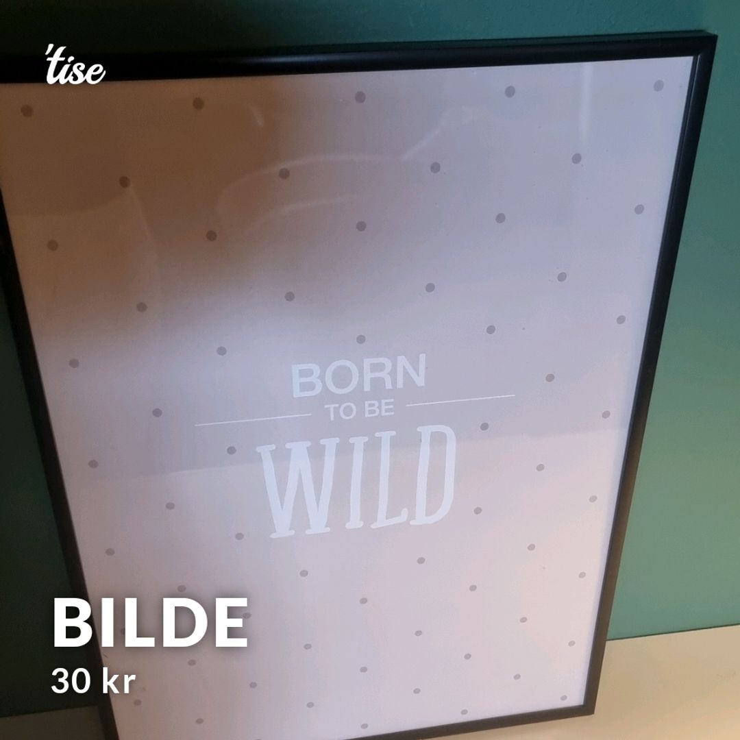 Bilde