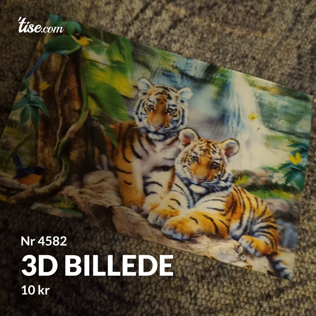 3D Billede