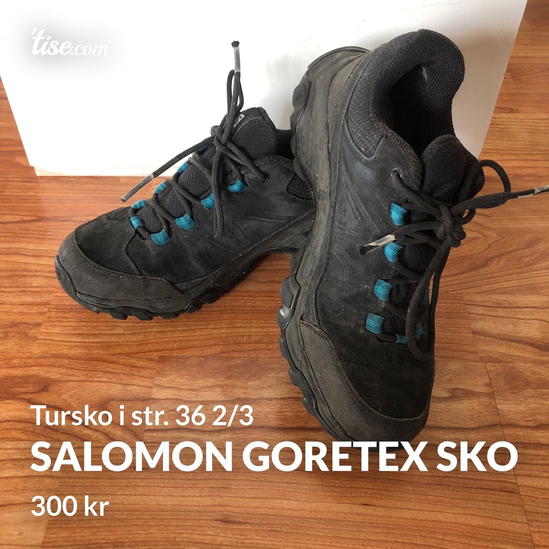 Salomon goretex sko