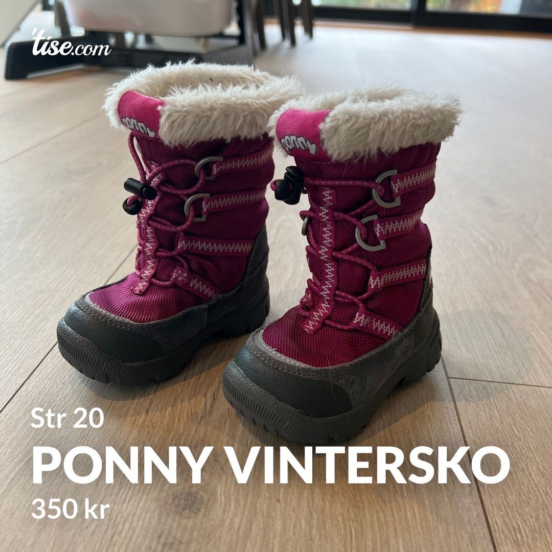 Ponny Vintersko