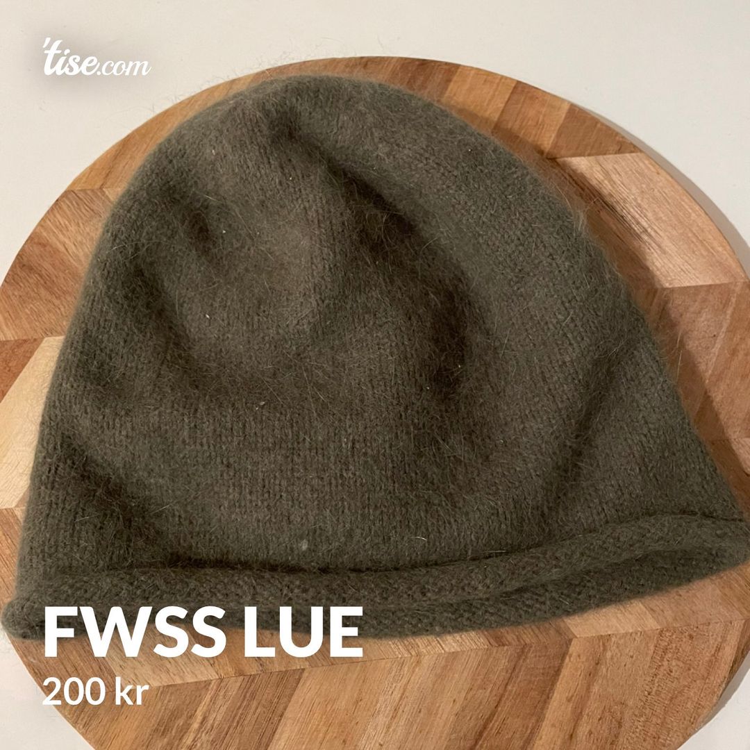 FWSS lue