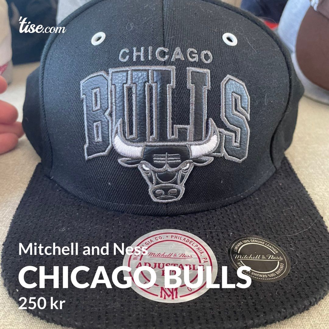 Chicago Bulls