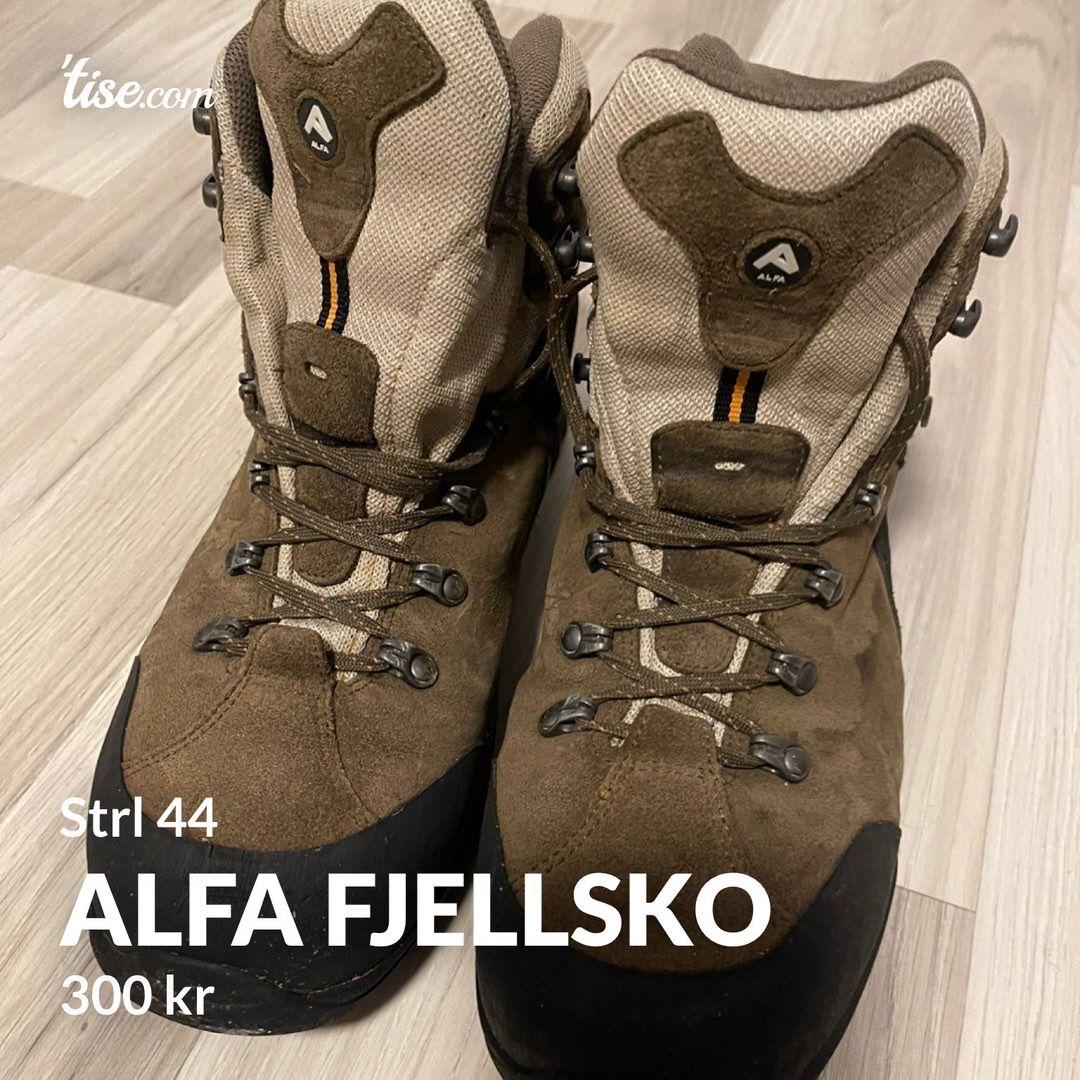 Alfa fjellsko