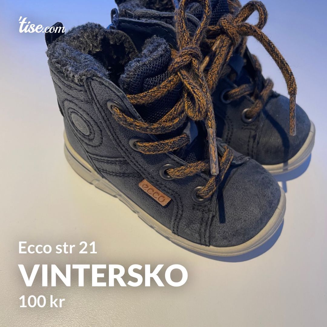 Vintersko