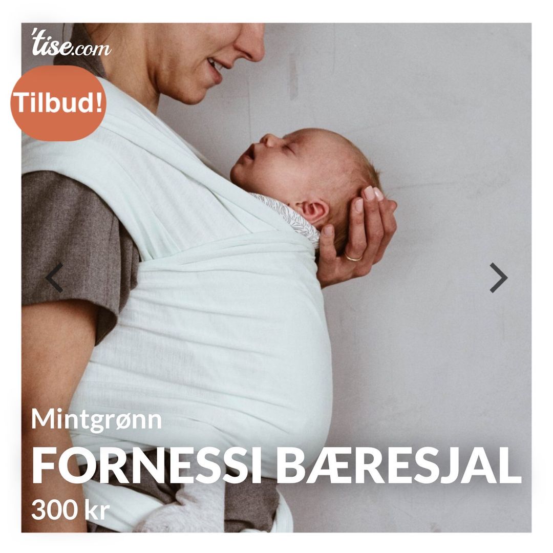 Fornessi bæresjal