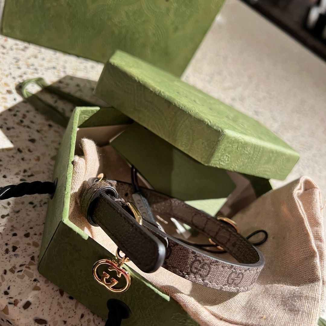 Gucci dog collar