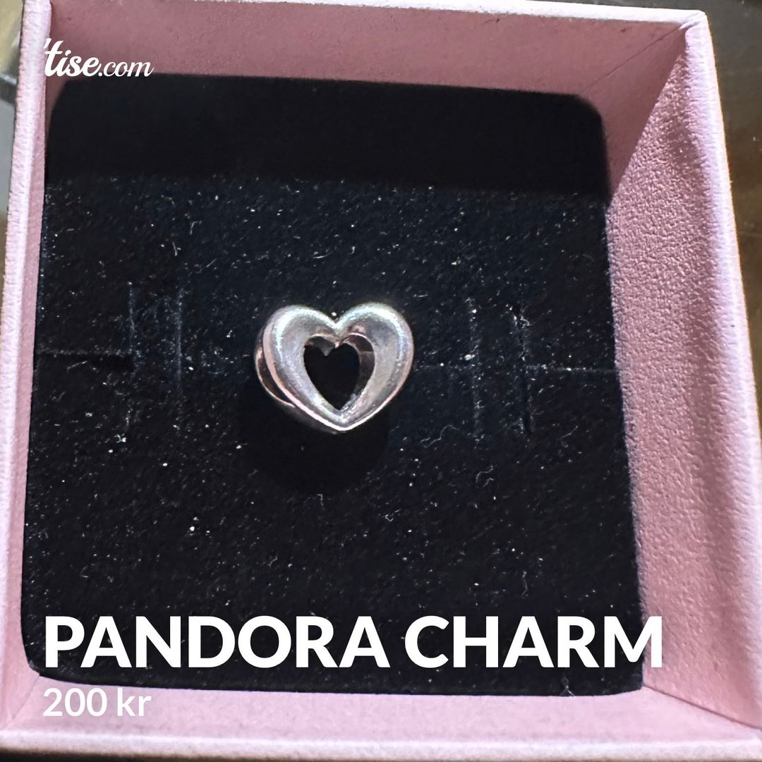 Pandora charm