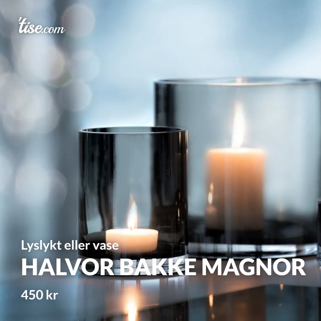 Halvor Bakke Magnor