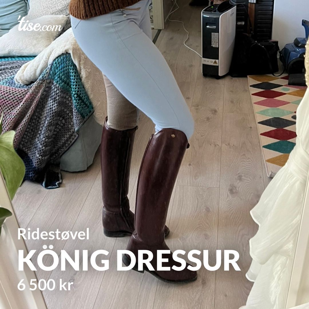 König dressur