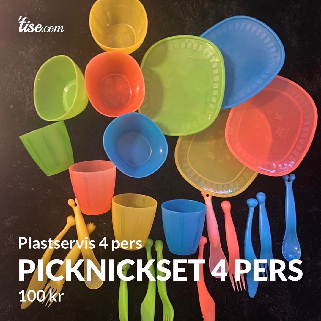 Picknickset 4 pers