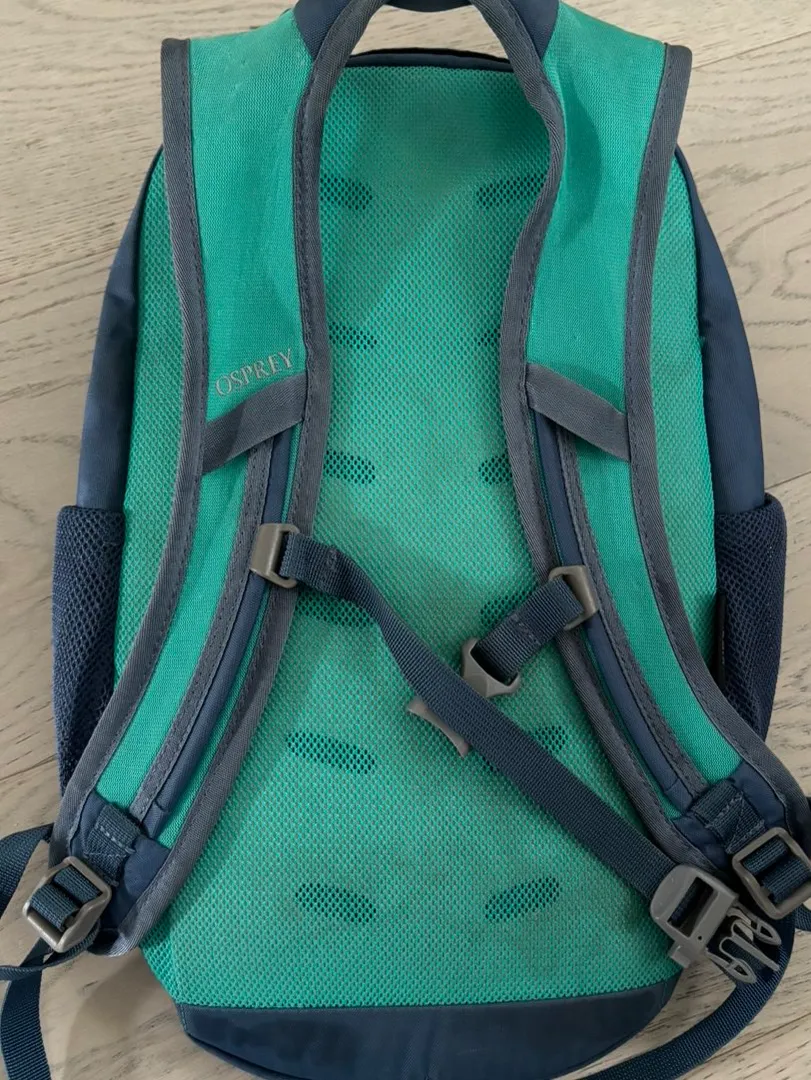 Osprey daylite