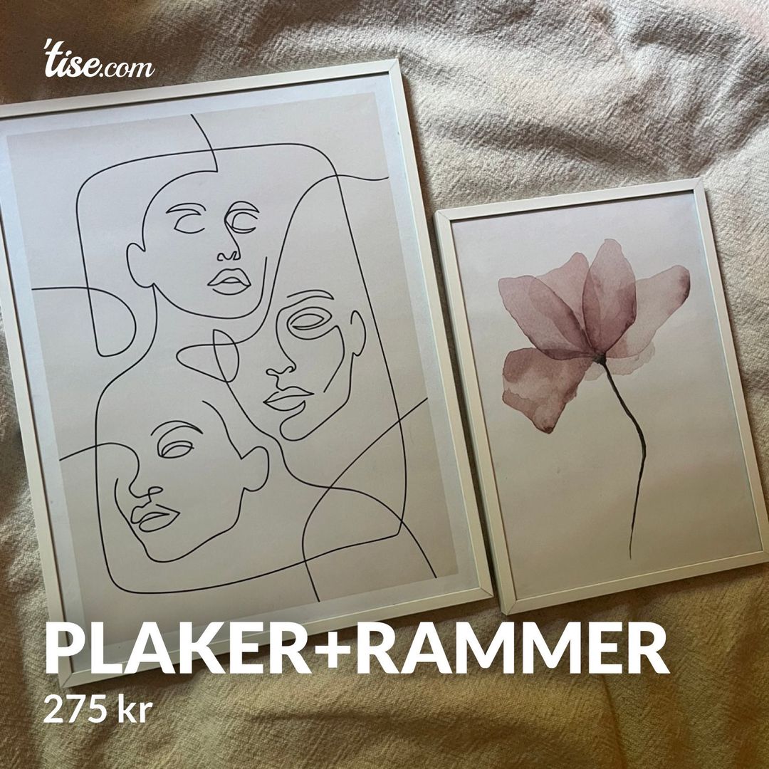 Plaker+rammer