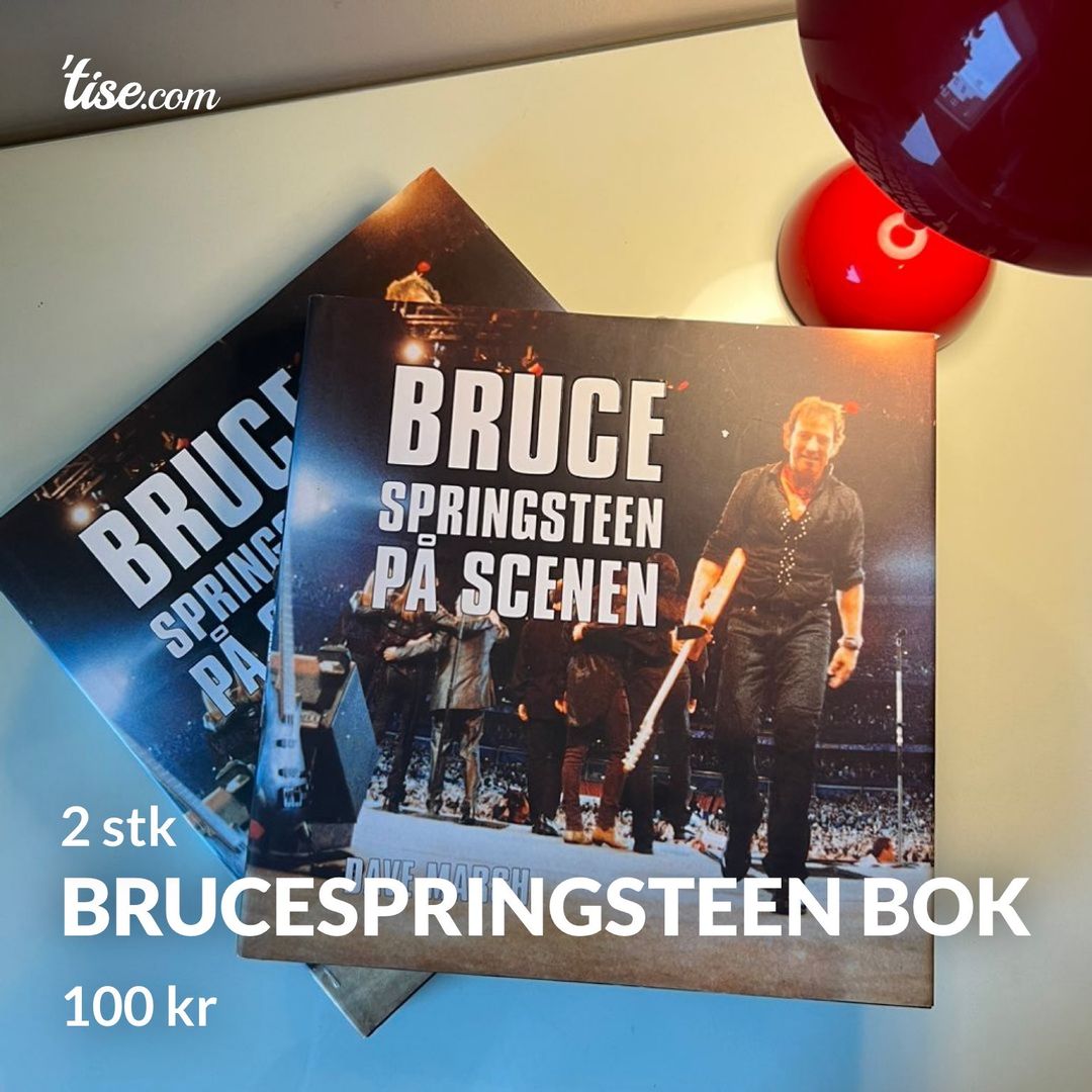 BruceSpringsteen bok