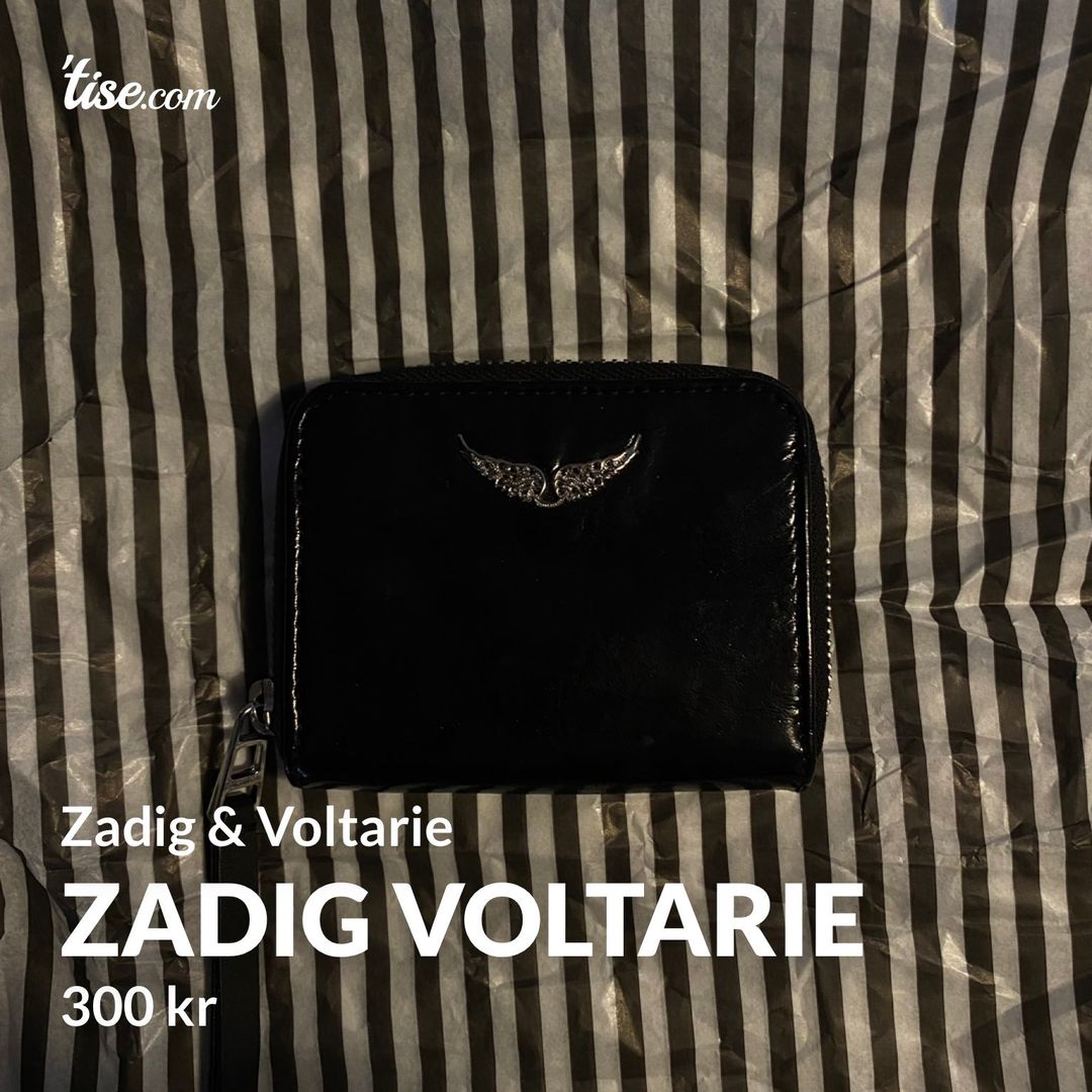 Zadig Voltarie