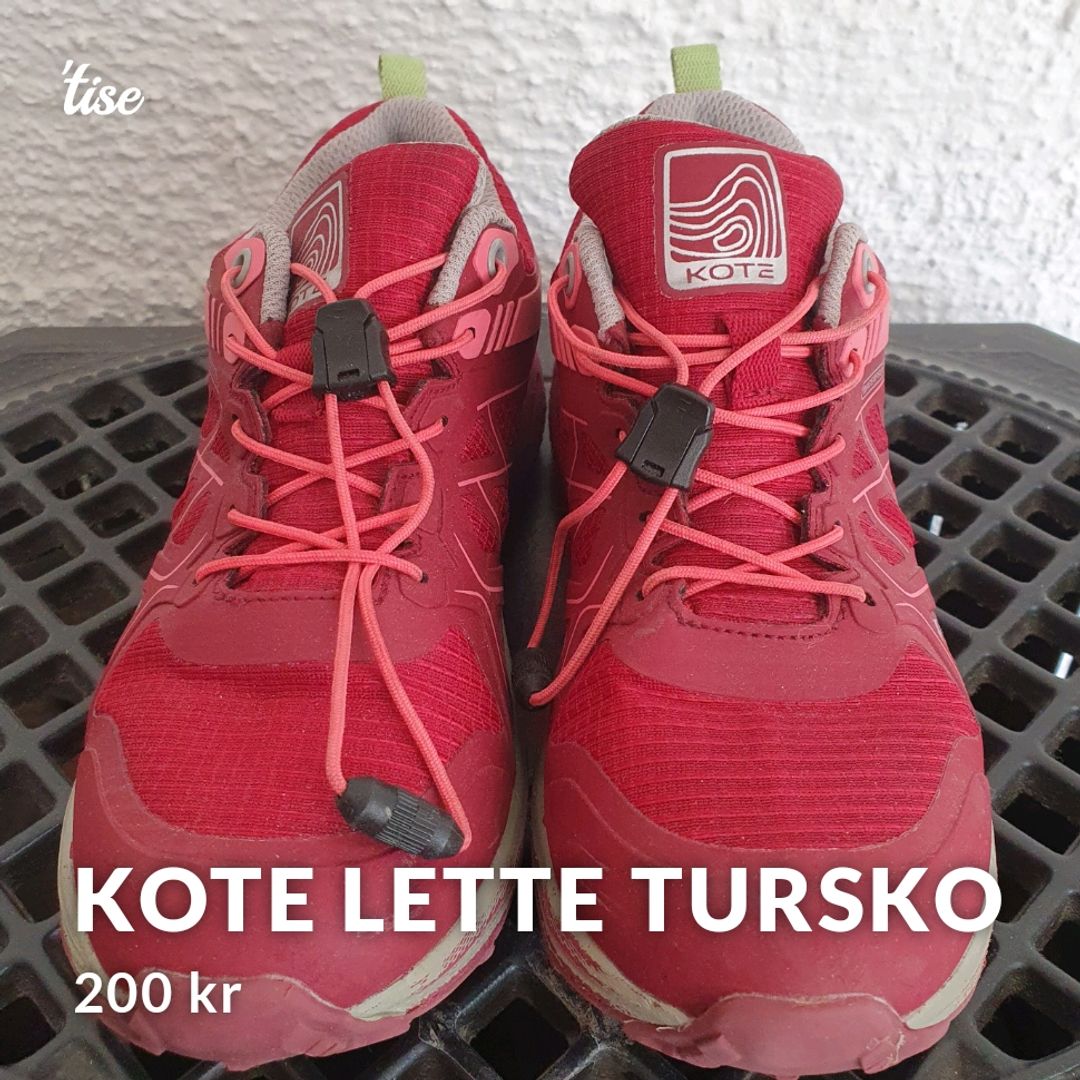 Kote lette tursko