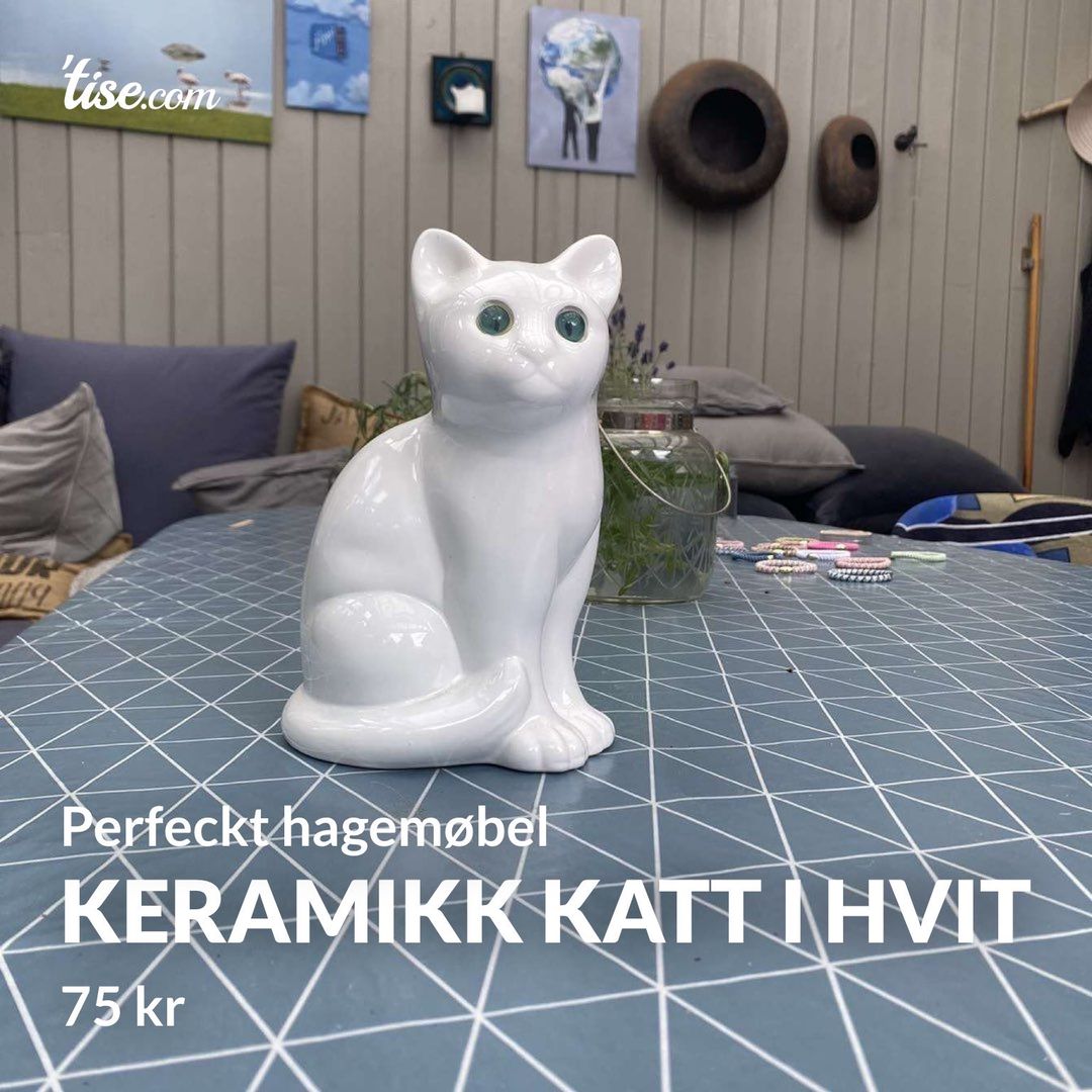 Keramikk katt i hvit