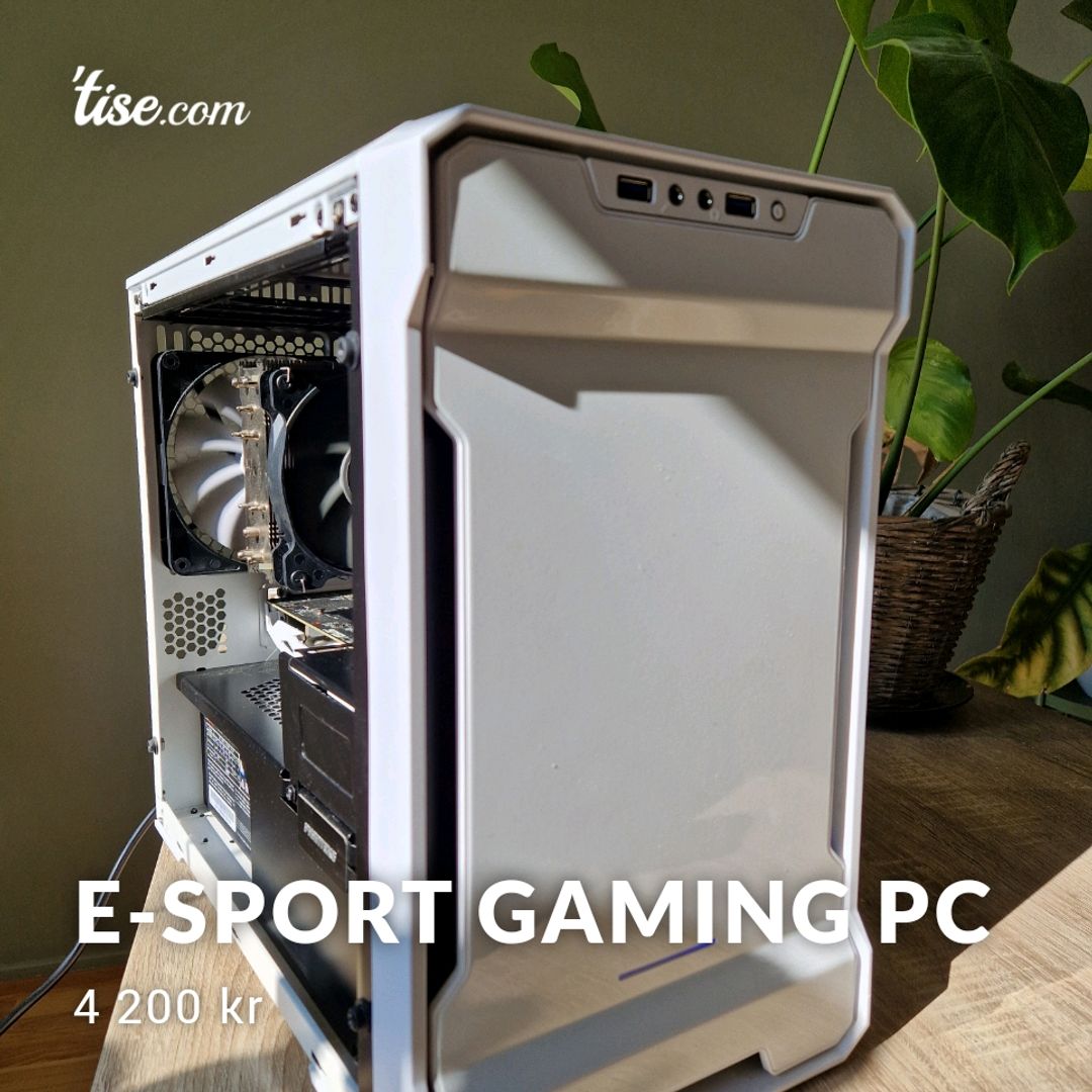 E-Sport Gaming PC