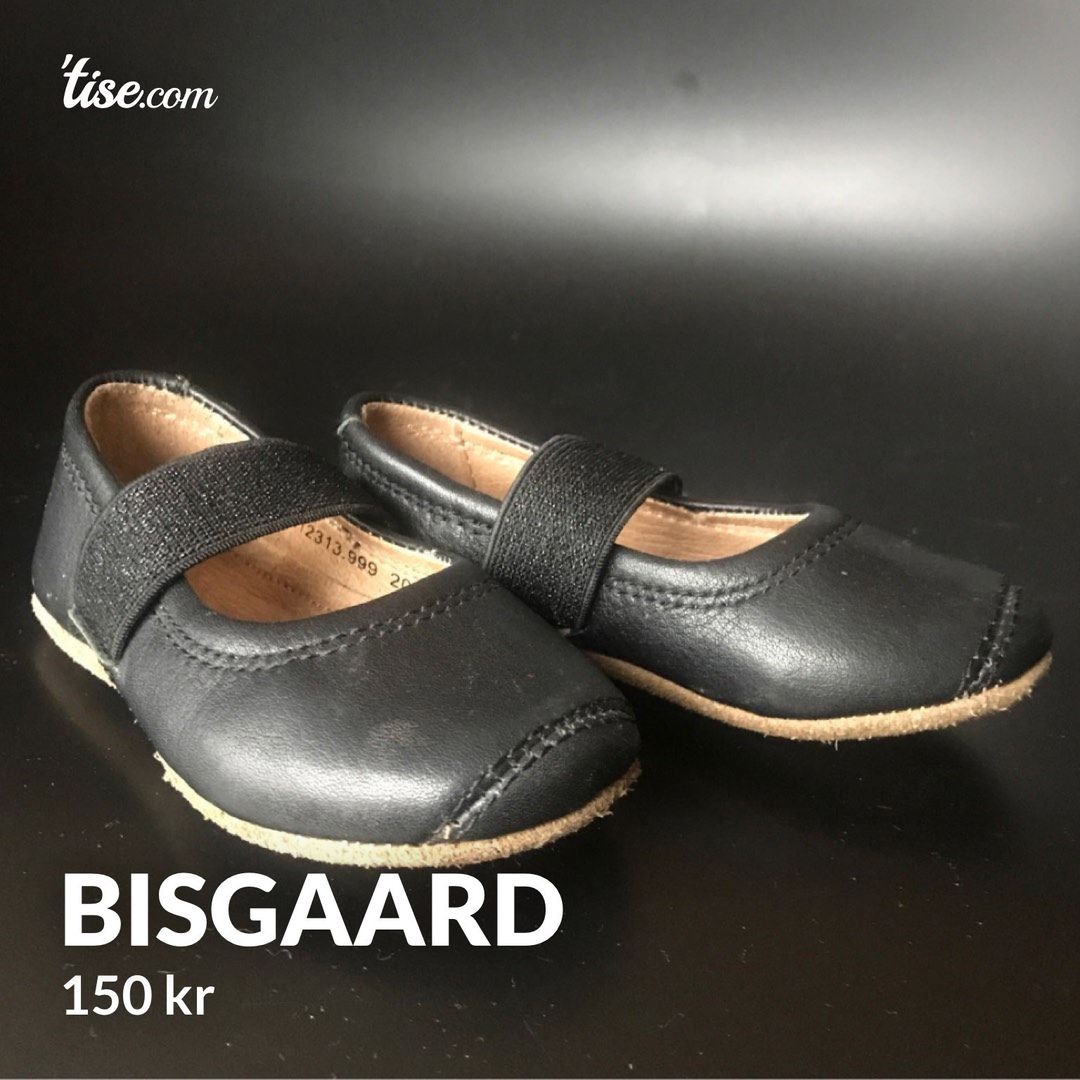 Bisgaard