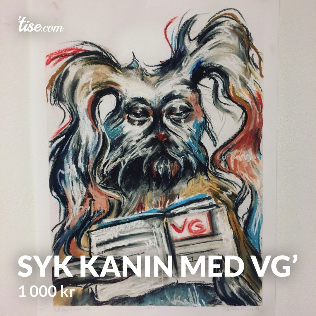 Syk kanin med VG’