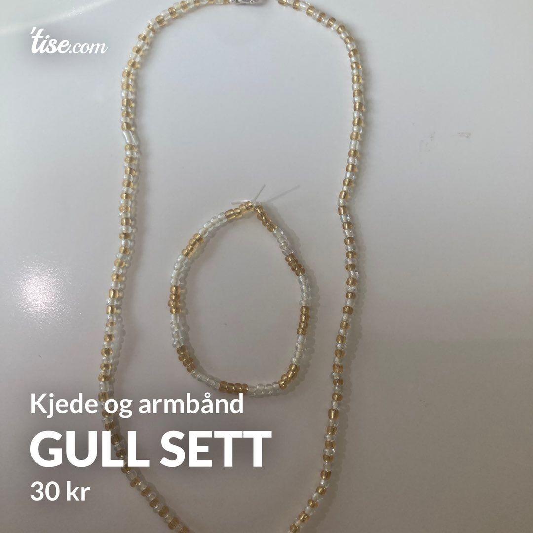 Gull sett