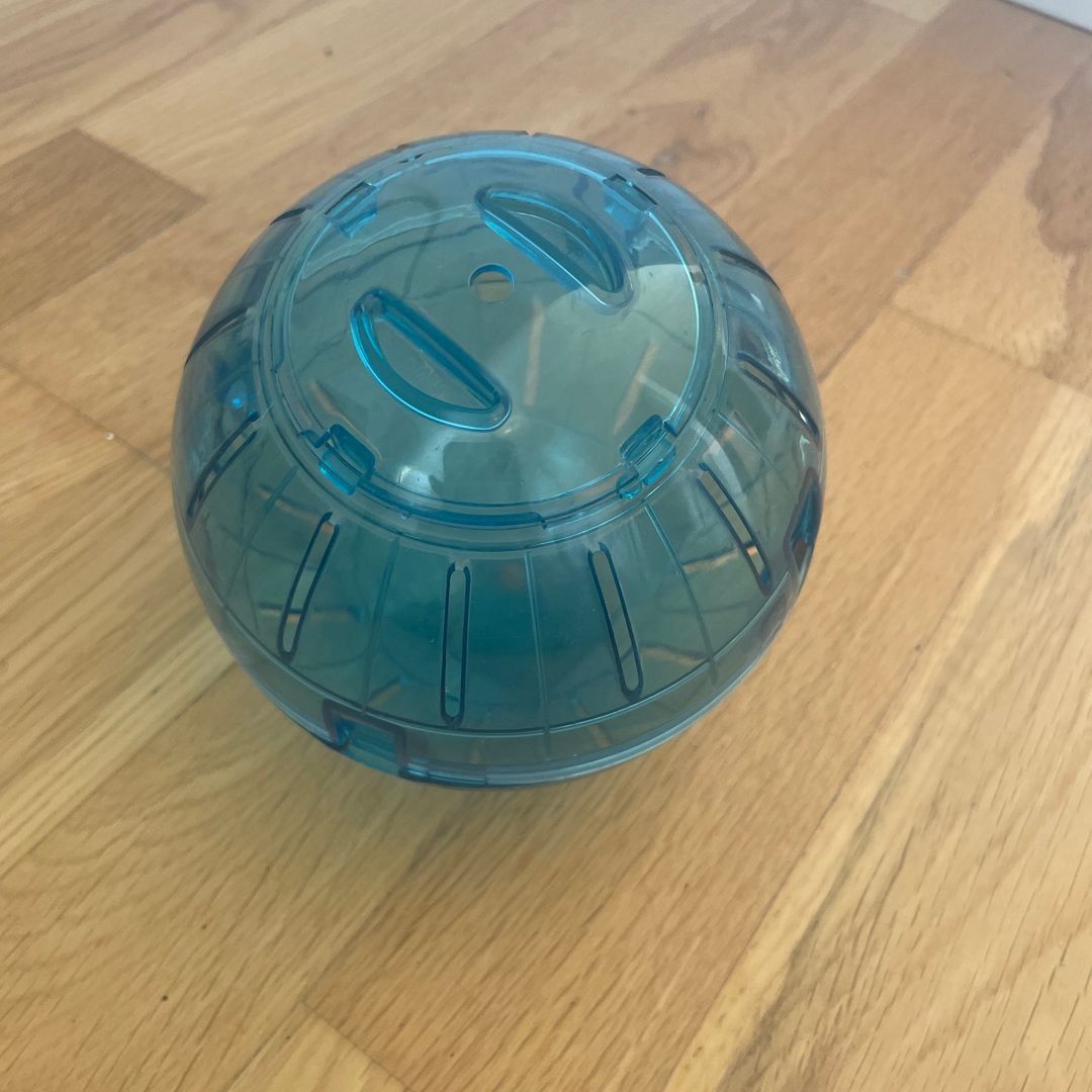 Hamster ball