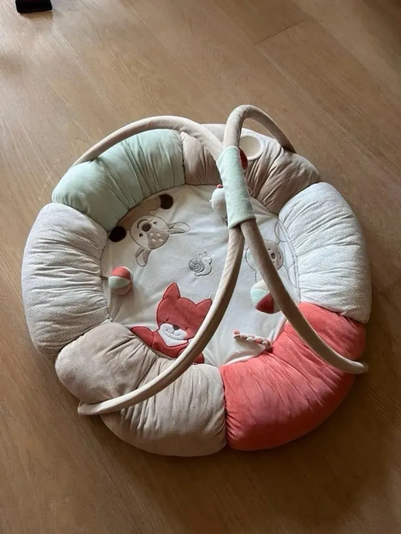 Kjempesøt babygym