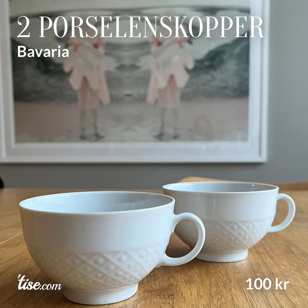 2 porselenskopper