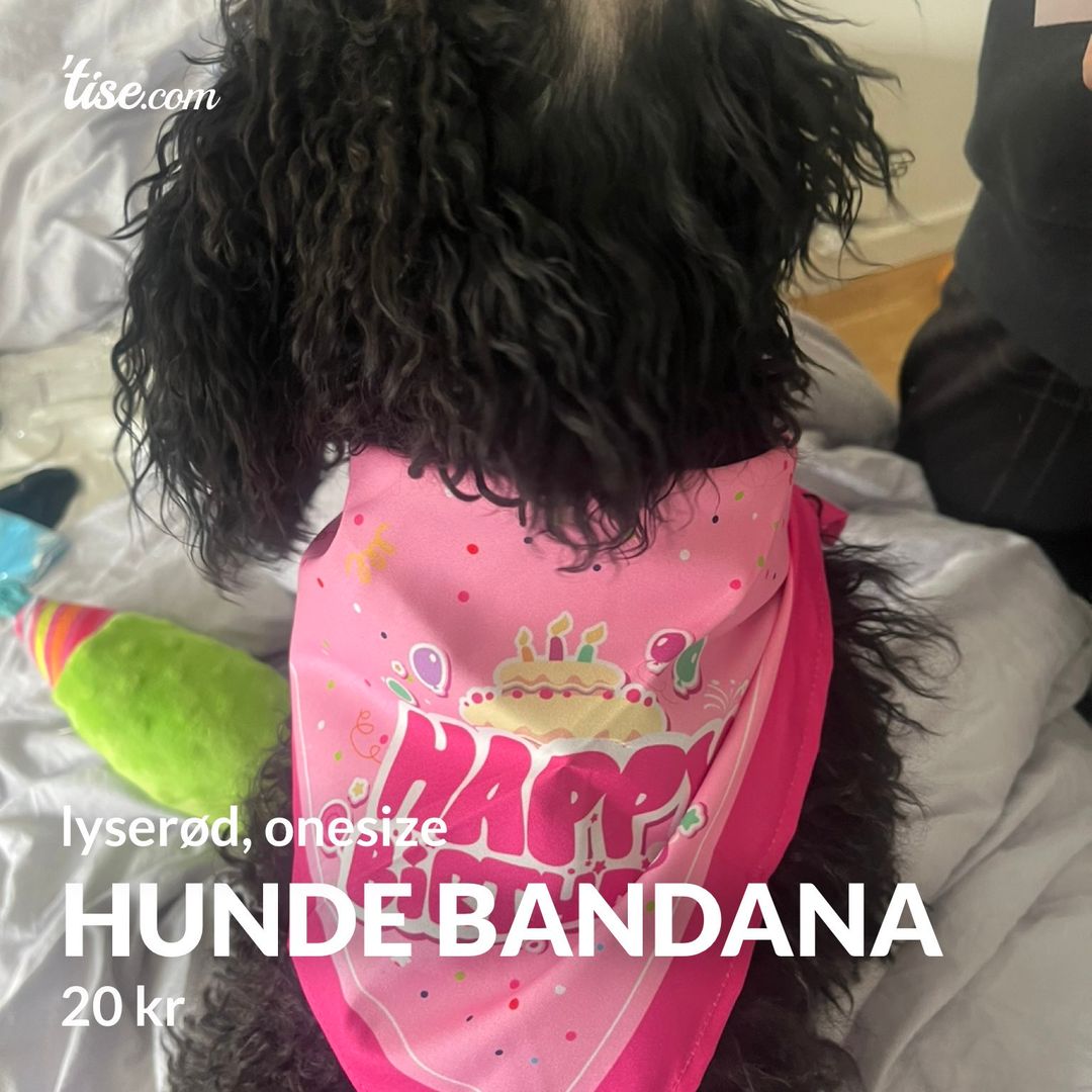 hunde bandana