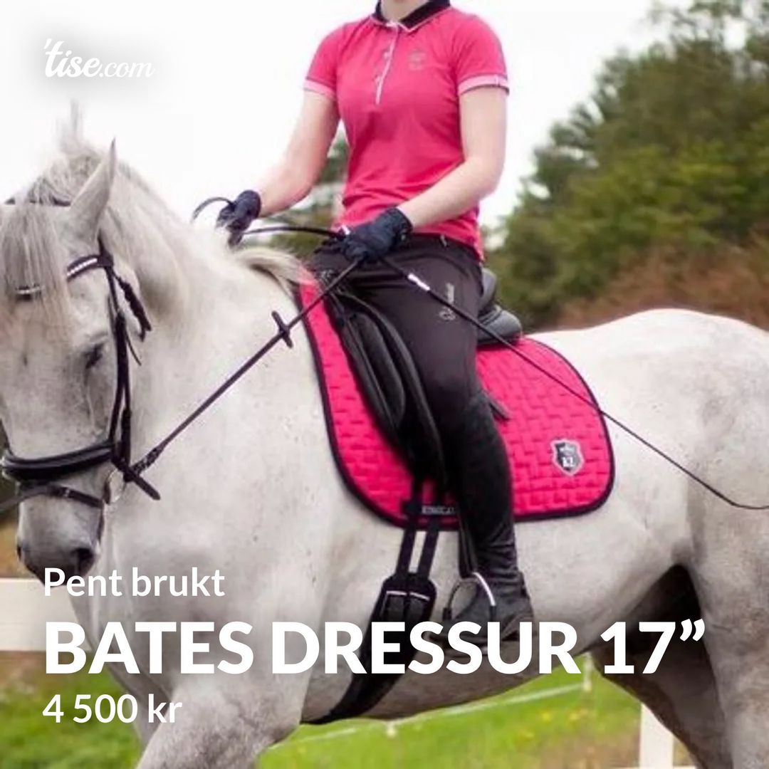 Bates dressur 17”