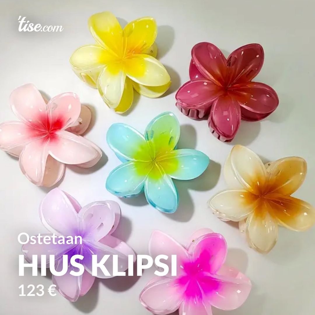 Hius klipsi