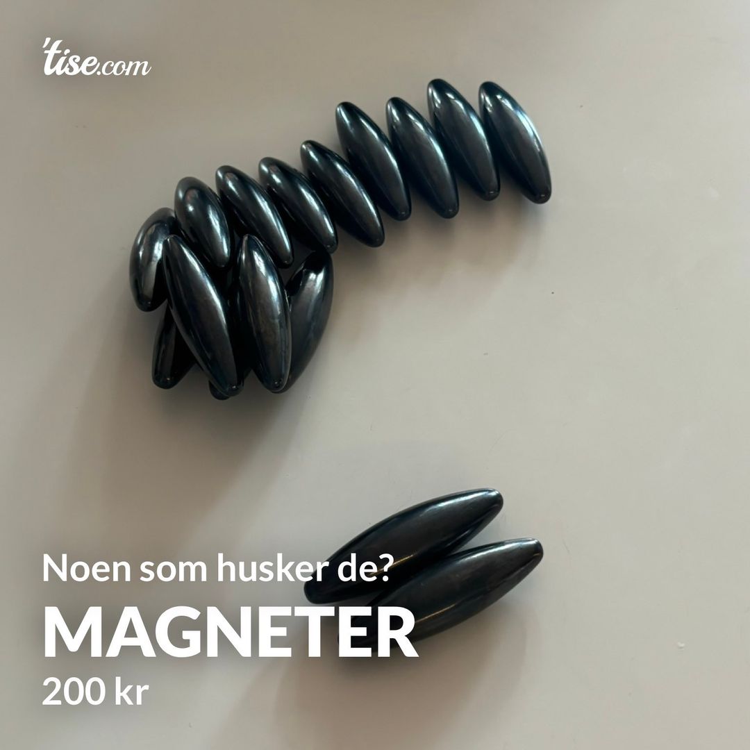 Magneter