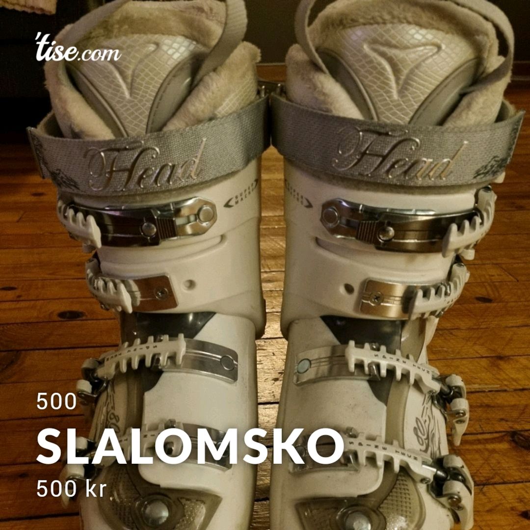 Slalomsko