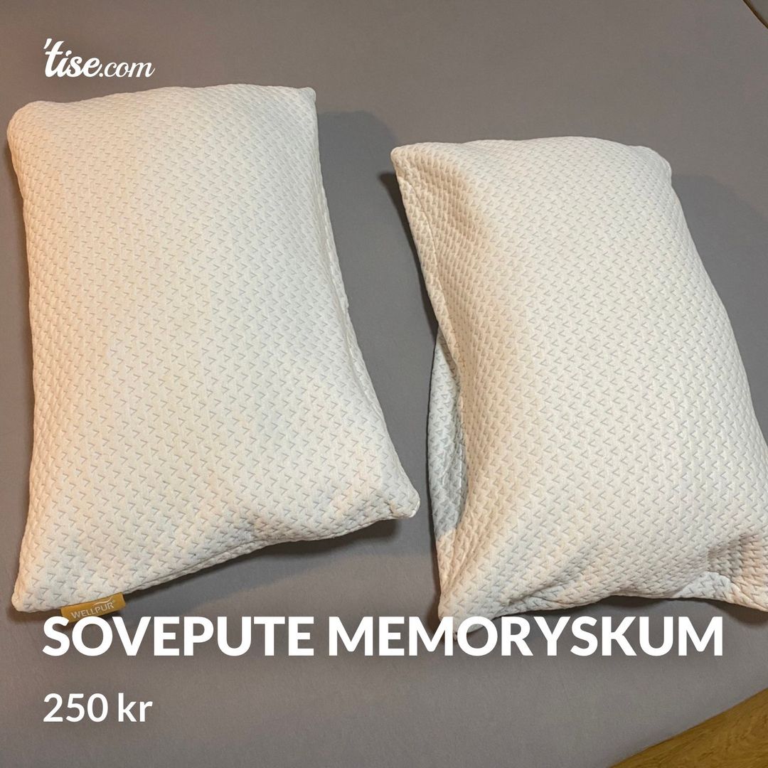 Sovepute memoryskum