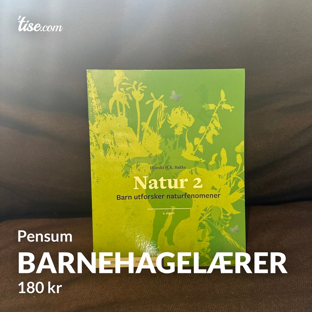 Barnehagelærer